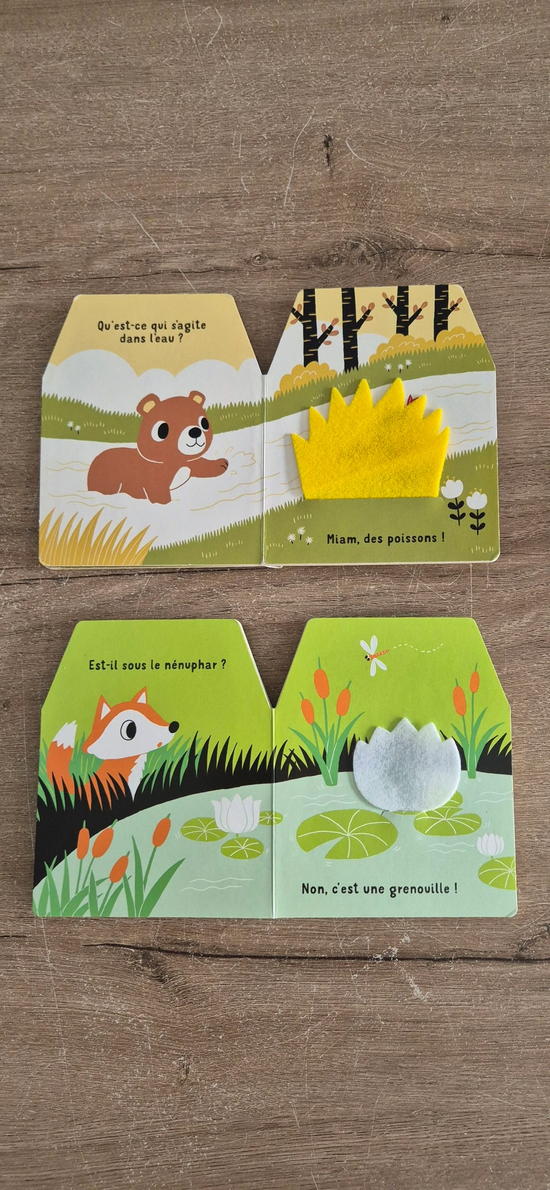 Lot de livros Cache-cache em feltro – photo 9